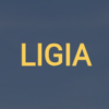 Логотип LIGIA POISK