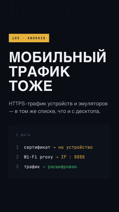 Изображение галереи Solpuga