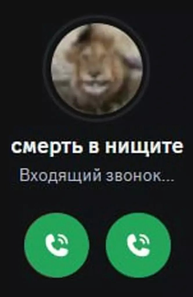 Мем «смерть в нищете» в виде скриншота входящего звонка — юмористическая иллюстрация к финальной мысли статьи об анализе рынка стартапа: если не знаешь, у кого забираешь деньги, то смерть в нищете звонит на телефон.