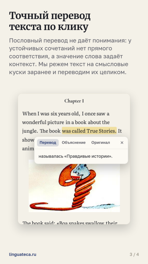 Изображение галереи Лингватека