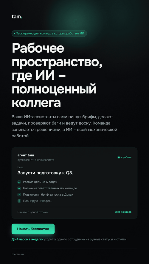 Изображение галереи TAM