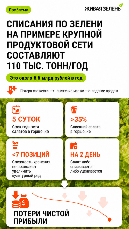 Изображение галереи Живая зелень