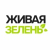 Логотип Живая зелень