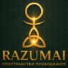 Логотип RazumAI — Синергия разума