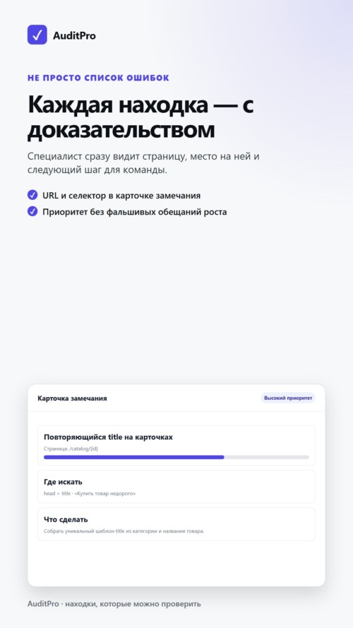 Изображение галереи AuditPro