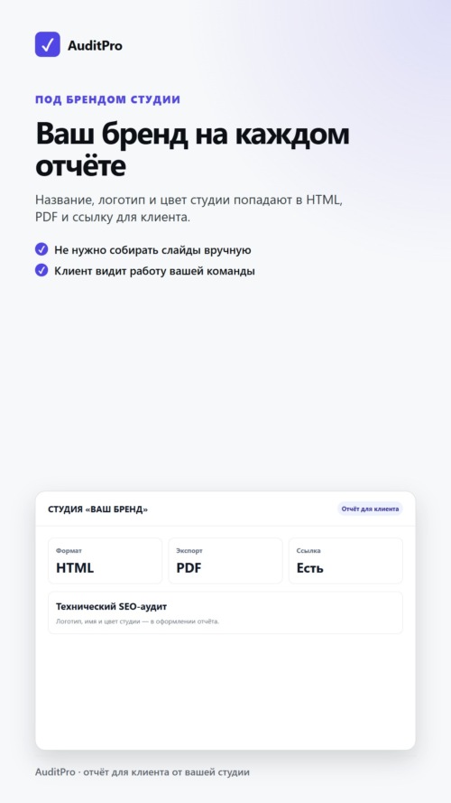 Изображение галереи AuditPro